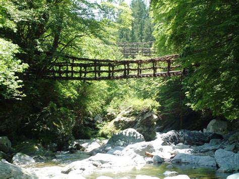 祖屋|奥祖谷二重かずら橋 